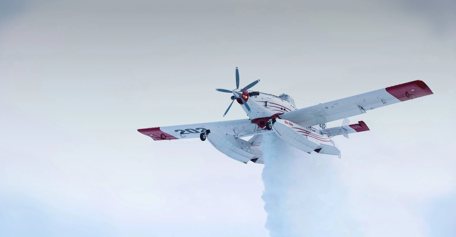 Dauntless Air Fire Boss airplane
